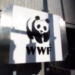 Com. St. WWF 14 /1: Plastica, da oggi in vigore in Italia le nuove regole sul monouso