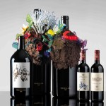 rnellaia è lieta di svelare Il Vigore, l'ultima Vendemmia d'Artista interpretata dagli artisti Nathalie Djurberg and Hans Berg