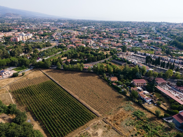 In Sicilia La Vigna Del Gallo e L’Etna Urban Winery nel network dell’Urban Vineyard Association, rete di valorizzazione delle Vigne Urbane