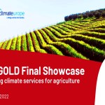 Agricoltura e cambiamenti climatici, l'Enea al fianco dei produttori di olio, vino e pasta con il progetto  MED-GOLD