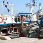 Sciopero pescherecci, Assoittici Confesercenti: intervenga subito il governo sul caro carburanti