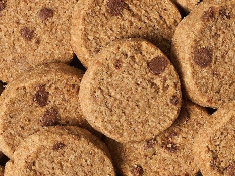 Dagli scarti della birra nasce LEY, una farina proteica che fa bene all’ambiente