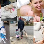 Pet, animali domestici, animali da compagnia... cani e gatti, i nuovi figli della famiglia di oggi