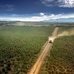 Azienda Agricola Manca tra le 100 migliori imprese agricole d’Italia sostenibili