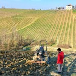 Impiantate nuove vigne da Tenute Mazzolino