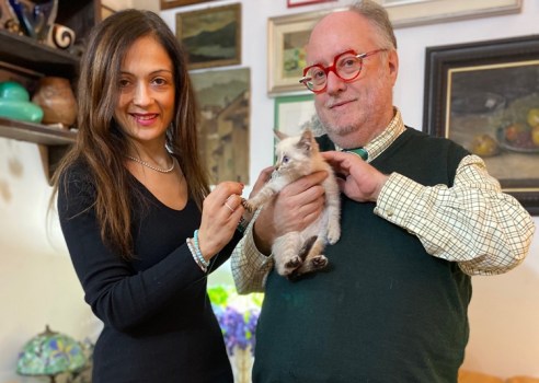 A Milano apre il primo hotel per soli gatti, testimonial Maura Anastasia ed Edoardo Raspelli