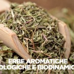 Erbe Aromatiche: un sano e gustoso alleato in cucina!