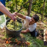 PAC 2023-2027: aggiornamenti al 1° giugno 2022, by Giampietro Comolli