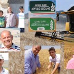 Grano duro Appulo Lucano: la dura lotta per sopravvivere -  La parola agli Agricoltori -Speciale Grano Alta Murgia (Parte Prima)