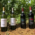 Monte delle Vigne, 4 nuove etichette raccontare i Colli di Parma