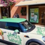 VERDE SALVIA PER UN PRANZO DIVERSO DAL SOLITO, SAPORITO E BILANCIATO, GRAZIE A iCOMBI RATIONAL 