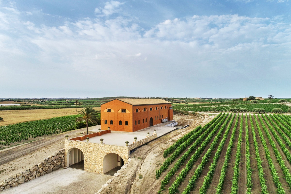 Feudo Maccari nascono i vini simbolo della Sicilia Orientale