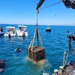 Distilleria Petrone, riportate in superficie le 370 bottiglie di Elixir Falernum sottomarino