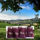 Valtidone Wine Fest 2022: torna a settembre il festival che promuove il vino e il territorio piacentino