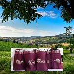 Valtidone Wine Fest 2022: torna a settembre il festival che promuove il vino e il territorio piacentino