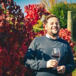 Terre de la Custodia, partita la vendemmia di una buona annata