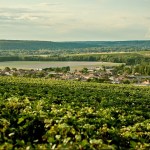 Sostenibilità: Comte De Montaigne assegna borse di studio ai Talenti dell’Accademia di Alta Formazione di Sala “Intrecci”