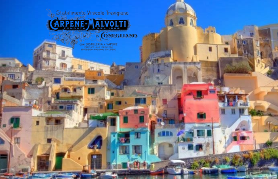 CARPENÈ-MALVOLTI PER PROCIDA 2022, Premio di Laurea ad ANDREA BARONE  