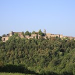 Olio Extravergine della Valdichiana - Il 22 ottobre con la Tracoil Conference si ribadisce l'importanza della tracciabilità