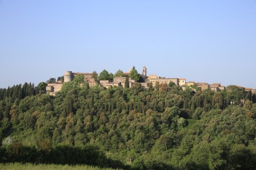 Olio Extravergine della Valdichiana – Il 22 ottobre con la Tracoil Conference si ribadisce l’importanza della tracciabilità