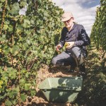 Alberto Massucco, il primo italiano a produrre Champagne
