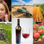 Italia del Vino, cosa riserva il 2023? Conferenza stampa di fine anno del  Primo Ministro, Giorgia Meloni