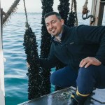 Mitilla, la cozza di Pellestrina è diventata un modello di acquacoltura di  successo