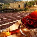 PASSITO PANTELLERIA DOC totalmente diverso dal LIQUOROSO PANTELLERIA DOC