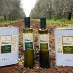 Villa Schinosa, non solo vini di qualità ma anche olio evo d’eccellenza