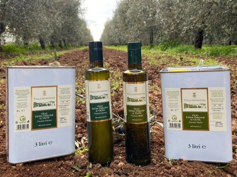Villa Schinosa, non solo vini di qualità ma anche olio evo d’eccellenza