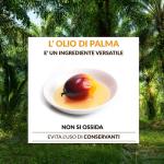 Olio di Palma Sostenibile a MARCA by Bologna Fiere 2023