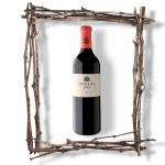 Biserno, un grande vino per un grande amore