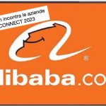 Come vendere online è un'arte: impariamo da chi sa farlo bene: Alibaba.com -