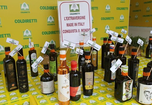 Consumi: Coldiretti, triplica l’olio italiano nel mondo (+170%)