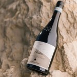 Debutta il Peratara, il nuovo Valpolicella Superiore DOC 2019 de La Collina dei Ciliegi