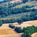 Sostenibilità alimentare e tecnologia: ecco come le soluzioni di SumUp aiutano gli small merchant che puntano sull’ambiente