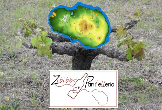 Pantelleria Doc e Zibibbo Classico Docg … questo è il problema! Disamina e possibili soluzioni di Giampietro Comolli