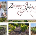 Zibibbo è Pantelleria... la nuova identità di un binomio- Comolli a Vinitaly 2023 (Video)