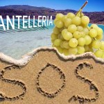 S.O.S. Pantelleria - Il Summit del 5-7 maggio scorso è stato un successone. Richiesta apertura tavolo di confronto