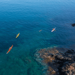 Visit Elba | Sabato 27 maggio la Grande Traversata sulla Rotta dei Cetacei: Capraia