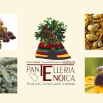 Pantelleria Enoica, Associazione Vignaioli & Produttori Panteschi: Zibibbo, Capperi, Origano e Miele (Video)