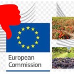 Per l'Europa vino e pomodori possono sparire dai campi e dalla tavola!!! ... siamo al delirio