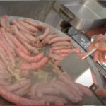 Sagra delle acciughe, Teriasca di Sori - Grigliata argentina di Orazio Duran (video)