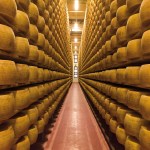 L'export dei prodotti caseari Made in Italy trainati dalle vendite in Europa