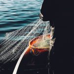 Venerdì 14 luglio scatta la rivolta dei pescatori