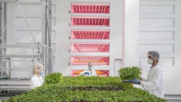 Agricola Moderna e il fondo IPC di Azimut Libera Impresa insieme per sostenere l’agricoltura verticale