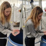 Sostenibilità a tavola: i barattoli per sughi realizzati con il vetro dei pannelli solari