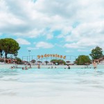 PADOVALAND, IL PARCO ACQUATICO DOG FRIENDLY D’ITALIA (COI CHIRINGUITI PER I PADRONI)