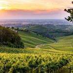 Torna “Oltrepò - Terra di Pinot Nero: un territorio, un vitigno, due eccellenze”: il 25 settembre la terza edizione