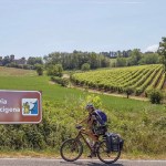 Via Francigena, Tratta Piacenza e banca di Piacenza: agosto incremento di pellegrini-turisti nelle valli